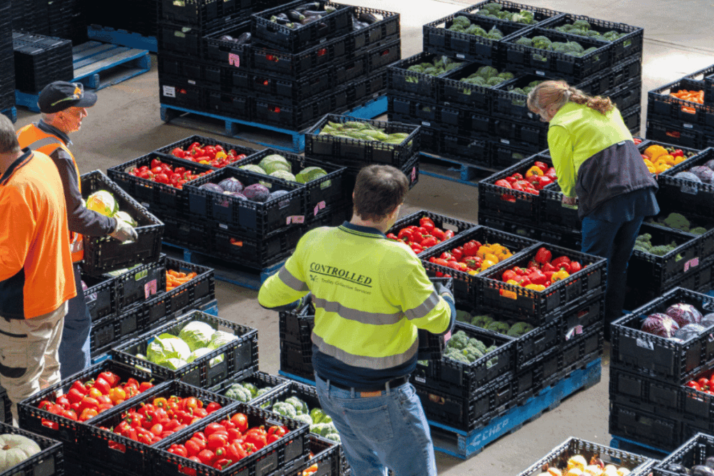 Loaves & Fishes Tasmania volunteers sort and prepare fresh produce at the organisation's Devonport Warehouse.
Credit: Elijah Anderson, Loaves and Fishes Tasmania